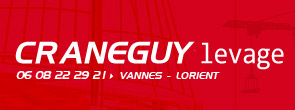 Craneguy Levage Vannes Lorient Manutention Remorquage en Bretagne